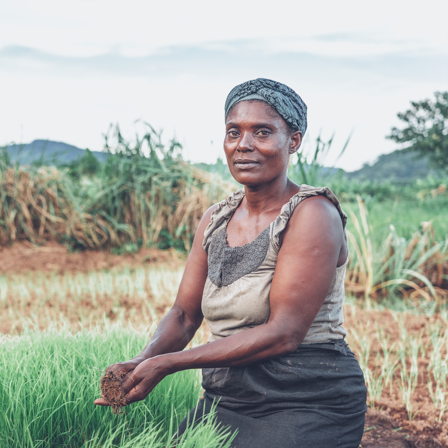 african-agriculture-and-covid-19-mckinsey